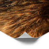 クマ ポスター (角)