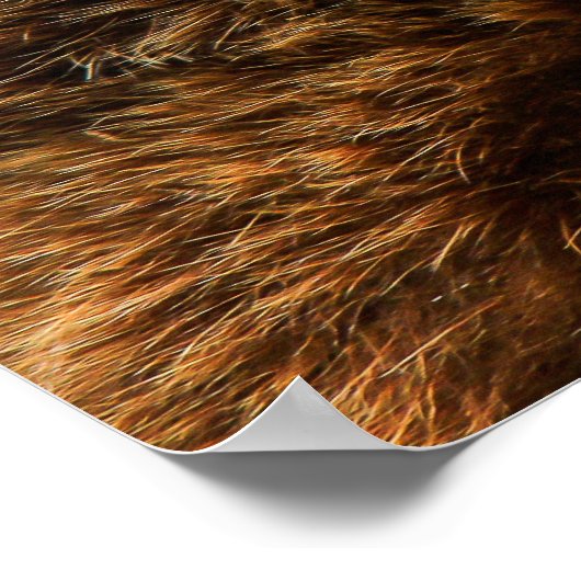 クマ ポスター (角)