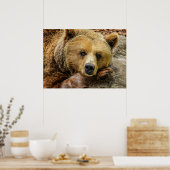 クマ ポスター (キッチン)