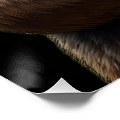 クマ ポスター (コーナー)