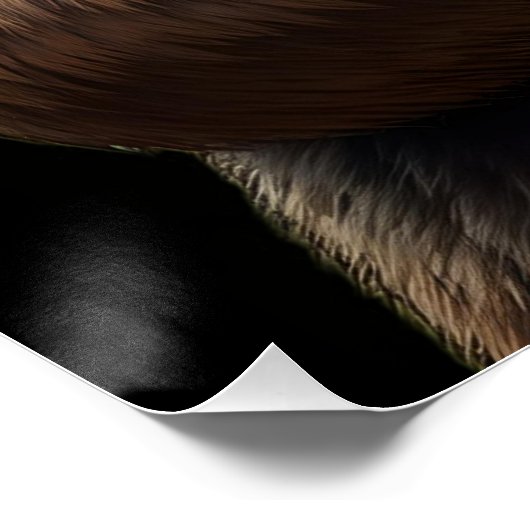 クマ ポスター (コーナー)