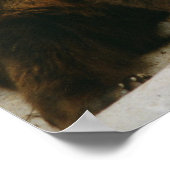 クマ ポスター (角)