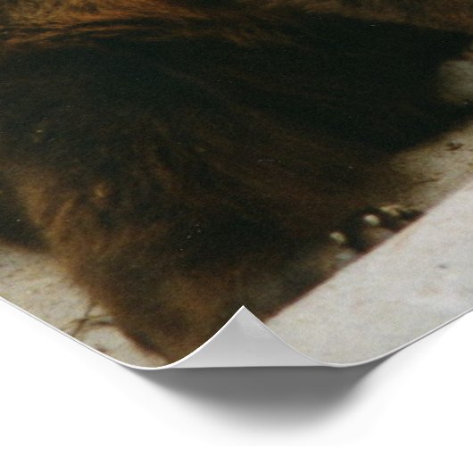 クマ ポスター (角)