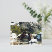 クマ ポストカード (スタンド正面)