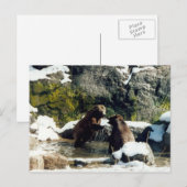 クマ ポストカード (正面/裏面)