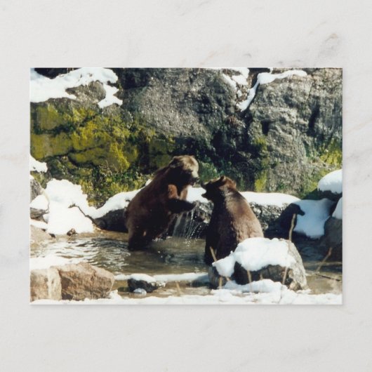 クマ ポストカード (正面)