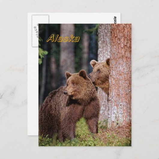 クマ ポストカード (正面/裏面)