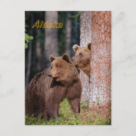 クマ ポストカード