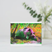 クマ ポストカード (スタンド正面)