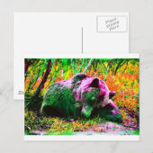 クマ ポストカード (正面/裏面)