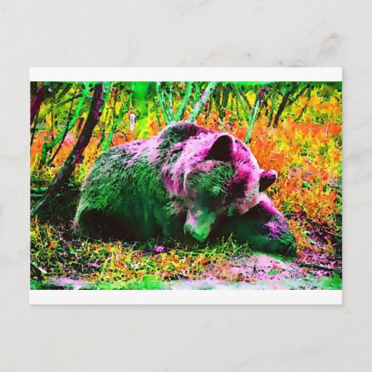 クマ ポストカード (正面)