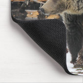 クマ マウスパッド (コーナー)