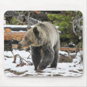 クマ マウスパッド (正面)