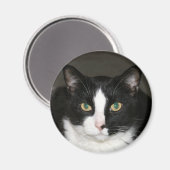 クマ マグネット (正面/裏面)