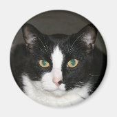 クマ マグネット (正面)