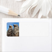 クマ ラベル (インサイチュ)