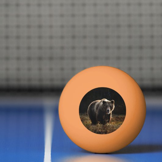 クマ 卓球ボール (ネット)