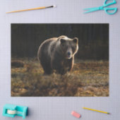 クマ 薄葉紙 (クラフト)