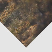 クマ 薄葉紙 (詳細)