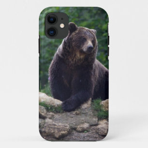 クマ iPhone 11 ケース
