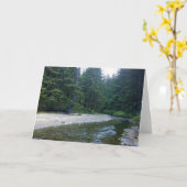 クミンズクリークアットネプチューン州パーク カード (黄色い花)