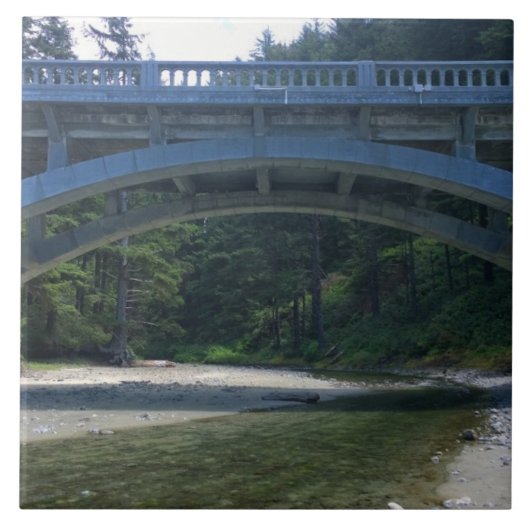 クミンズクリークアットネプチューン州パーク タイル (正面)