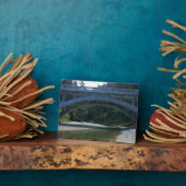 クミンズクリークアットネプチューン州パーク フォトプラーク (側面)