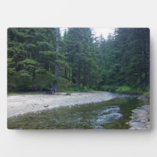 クミンズクリークアットネプチューン州パーク フォトプラーク (正面)