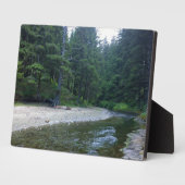 クミンズクリークアットネプチューン州パーク フォトプラーク (側面)