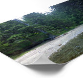 クミンズクリークアットネプチューン州パーク ポスター (角)