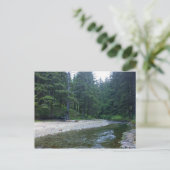 クミンズクリークアットネプチューン州パーク ポストカード (スタンド正面)