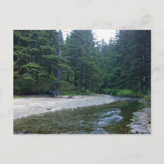 クミンズクリークアットネプチューン州パーク ポストカード (正面)