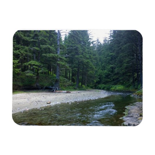 クミンズクリークアットネプチューン州パーク マグネット (横)