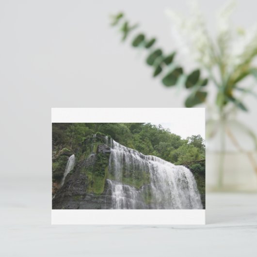 クミンズ秋, TN ポストカード (スタンド正面)