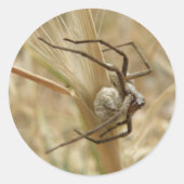 クモと卵の嚢のシール ラウンドシール (正面)