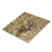 クモと卵の嚢タイル タイル (側面)