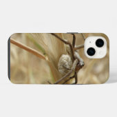 クモと卵嚢 iPhoneケース (裏面横)