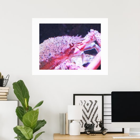 クモのカニの接写 ポスター (ホームオフィス)