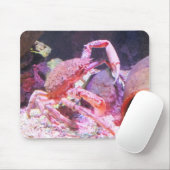 クモのカニ動物 マウスパッド (マウス)