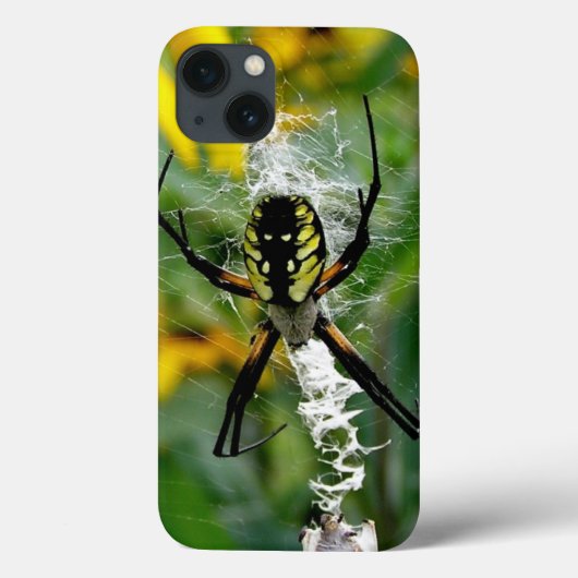 クモの巣のクモ Case-Mate iPhoneケース (裏面)