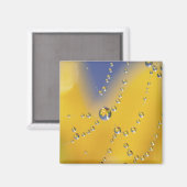 クモの巣を露で塞ぐ マグネット (正面/裏面)