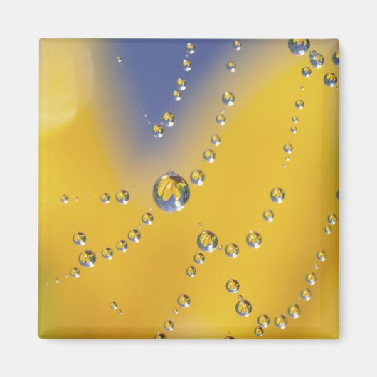 クモの巣を露で塞ぐ マグネット (正面)