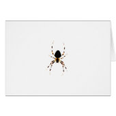 クモの巣 (正面横)