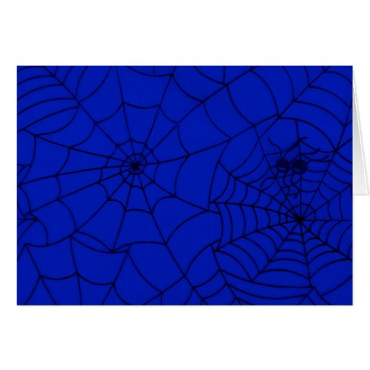 クモの巣、クモの巣、クモ、昆虫 (正面横)