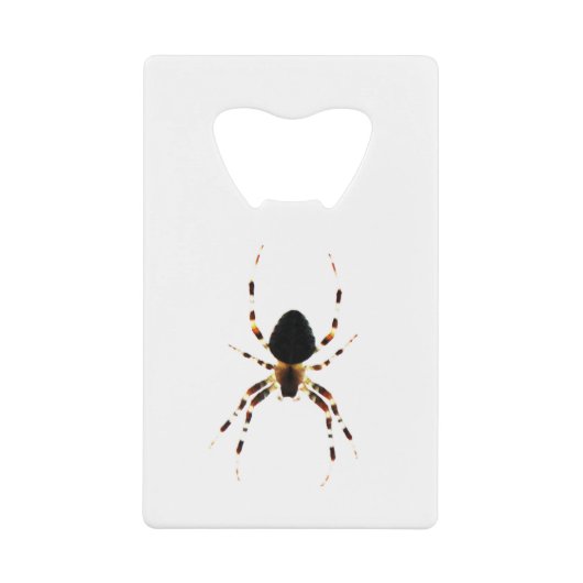 クモの巣 クレジットカード栓抜き (正面)