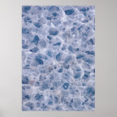 クモの巣 ポスター (正面)