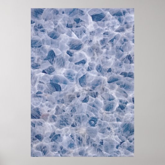 クモの巣 ポスター (正面)