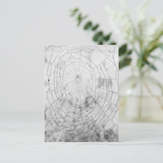 クモの巣 ポストカード (スタンド正面)