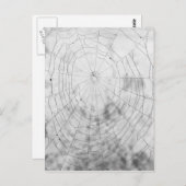 クモの巣 ポストカード (正面/裏面)