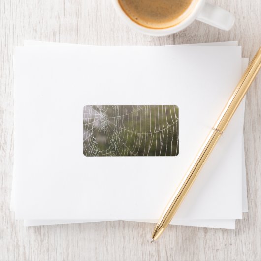 クモの巣 ラベル (インサイチュ)